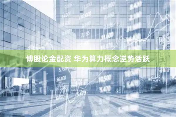 博股论金配资 华为算力概念逆势活跃