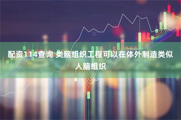 配资114查询 类脑组织工程可以在体外制造类似人脑组织