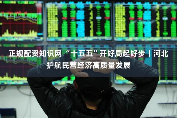 正规配资知识网 “十五五”开好局起好步丨河北护航民营经济高质量发展
